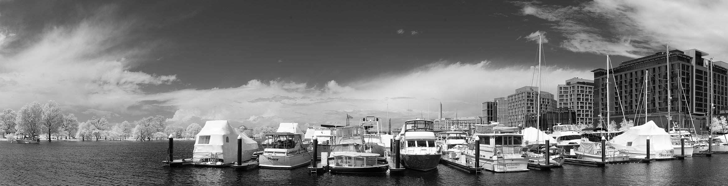 Infrared Panorama of Marina in Bright Sunlight